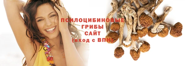 МДПВ Заволжск