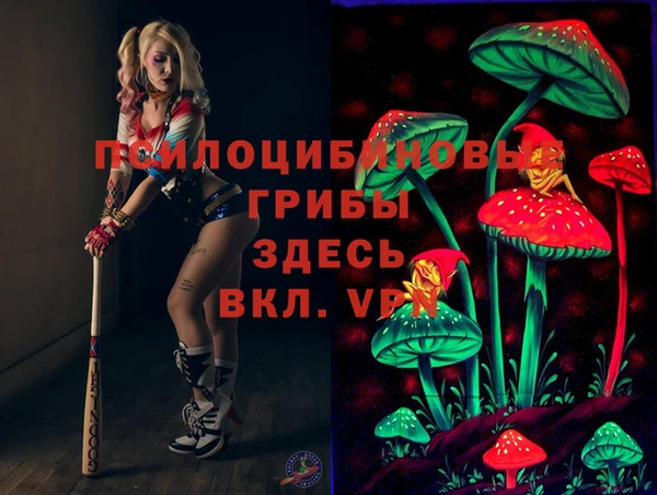 МДПВ Заволжск