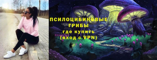 кокаин премиум Заводоуковск